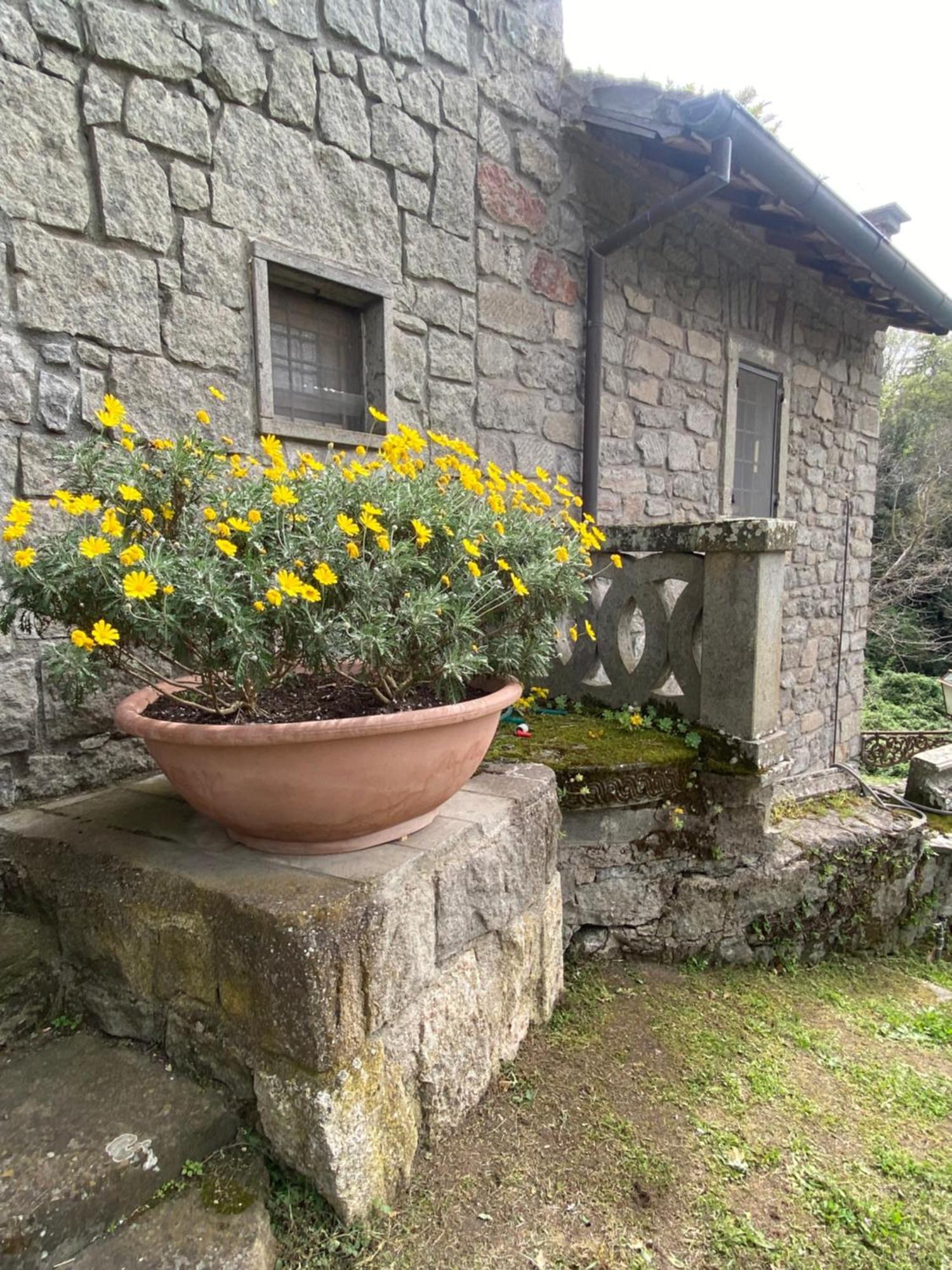 Il Castelletto Della Palanzana Villa Viterbo Exterior photo